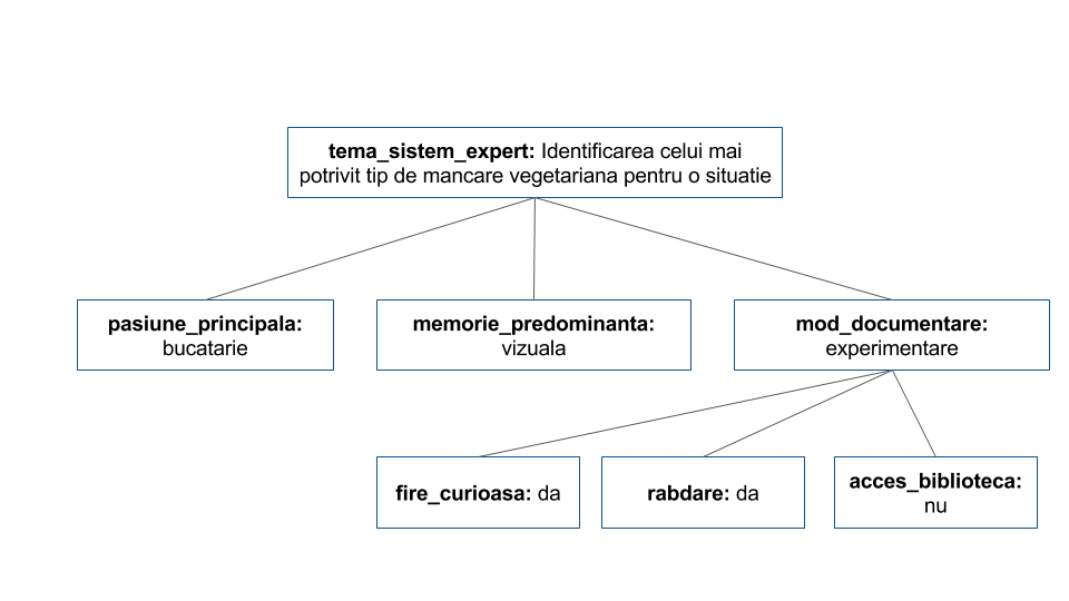 arbore sistem expert